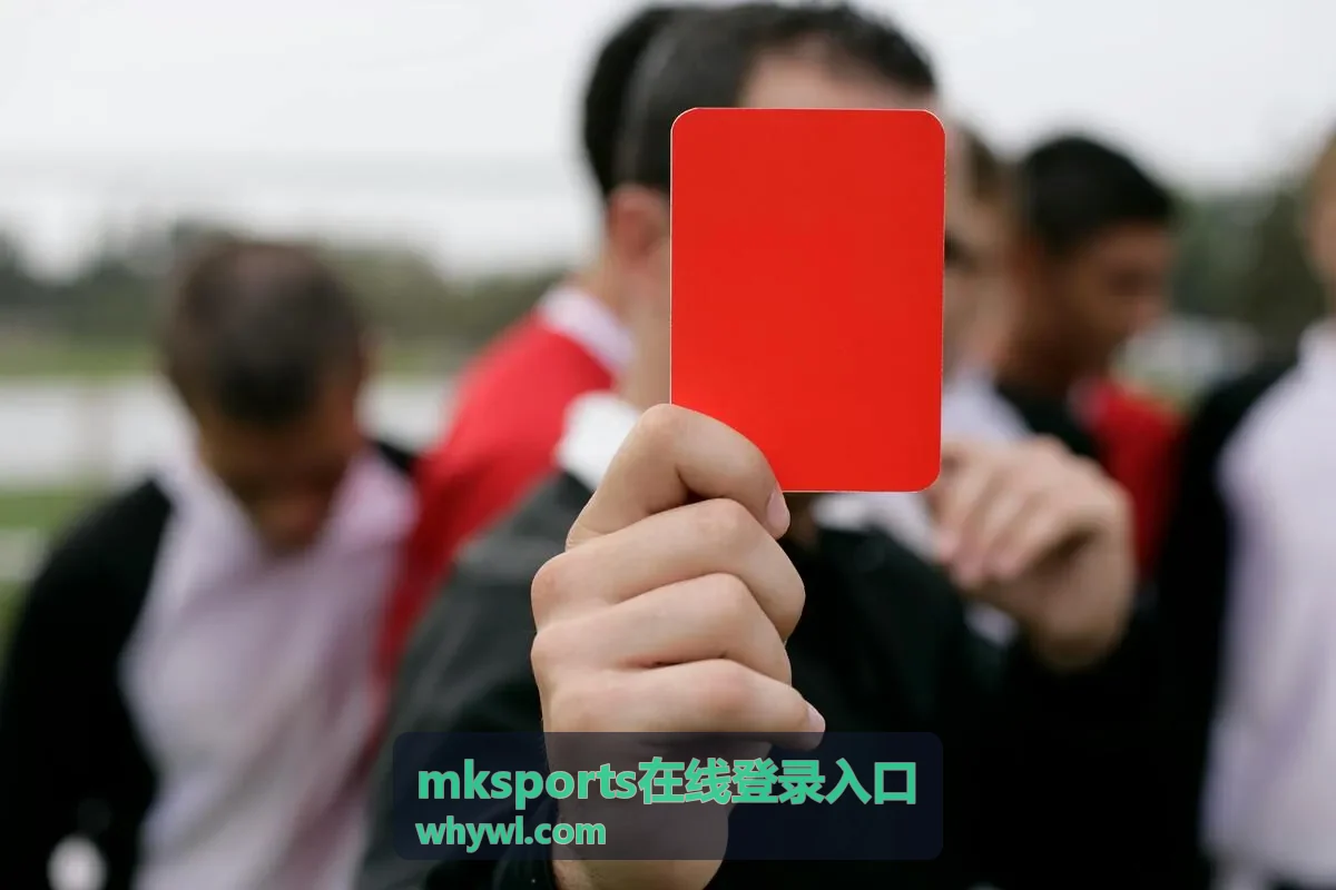 mksports在线登录入口账号准备说明配图