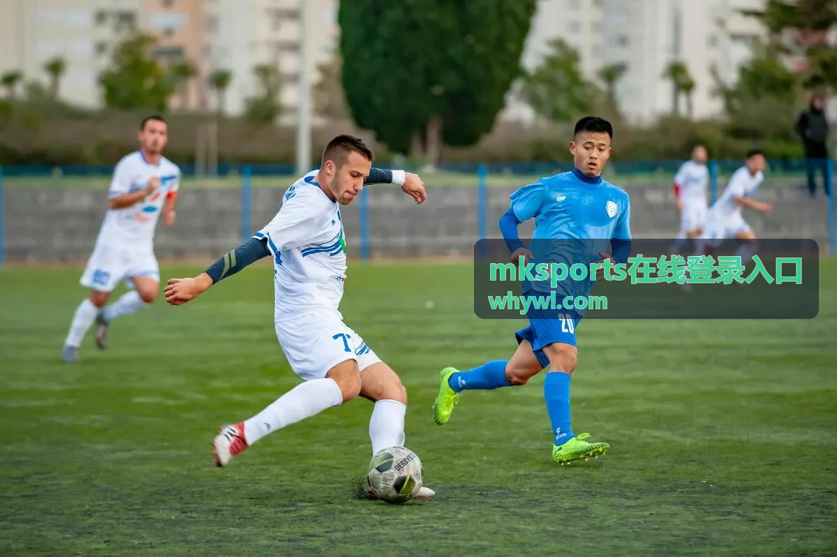 mksports在线登录入口账号信息与设备使用要点配图