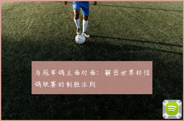 与冠军鸽主面对面：解密世界杯信鸽联赛的制胜法则