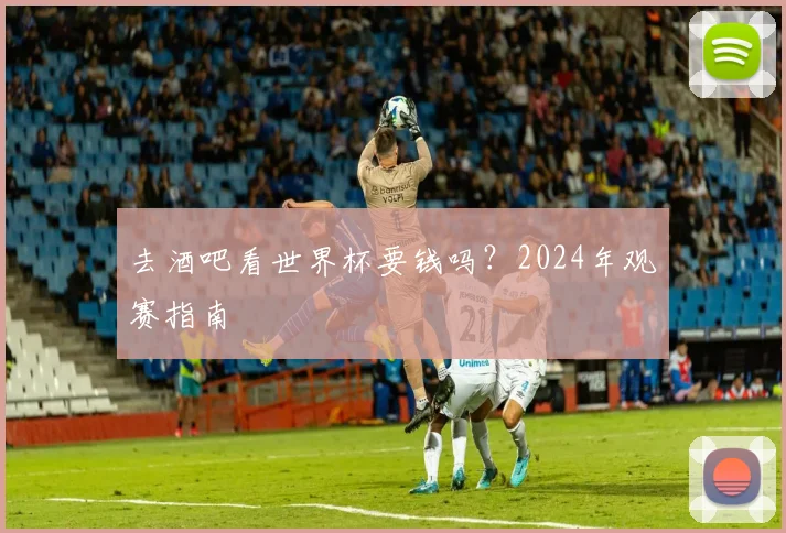 去酒吧看世界杯要钱吗？2024年观赛指南