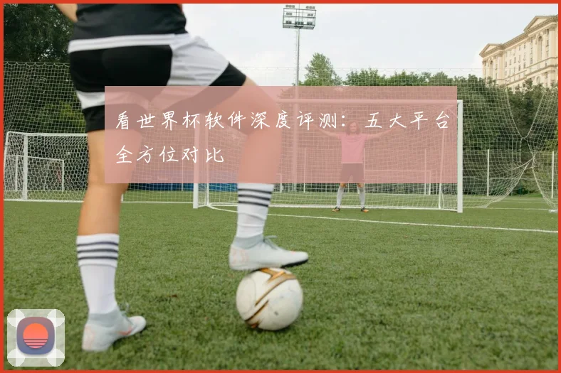 看世界杯软件深度评测：五大平台全方位对比