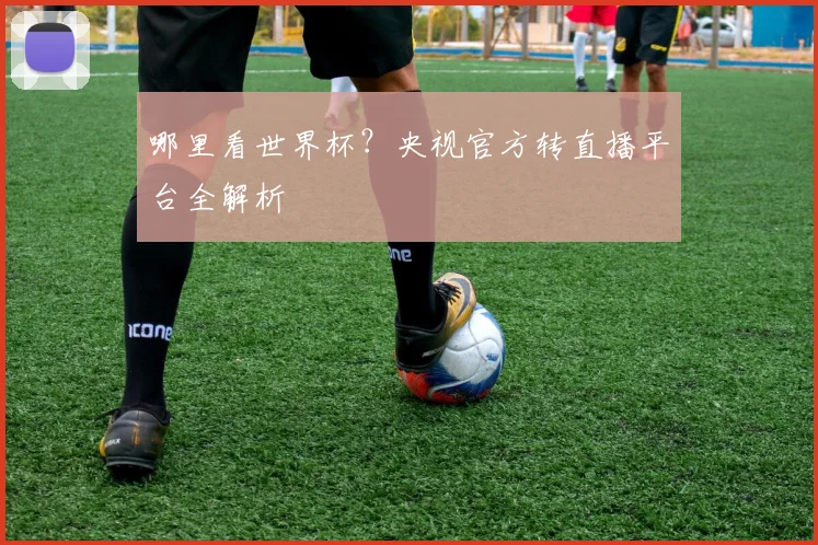 哪里看世界杯？央视官方转直播平台全解析