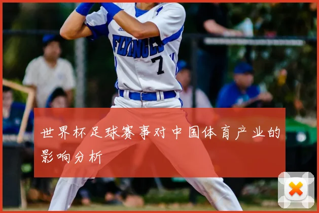 世界杯足球赛事对中国体育产业的影响分析