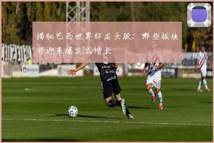 揭秘巴西世界杯龙头股：哪些板块将迎来爆发式增长