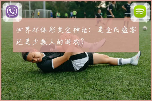 世界杯体彩奖金神话:是全民盛宴还是少数人的游戏?