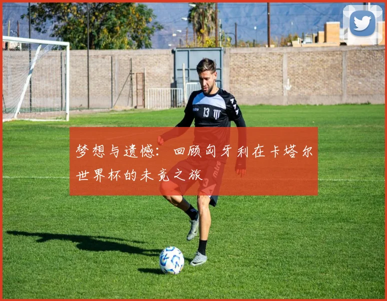 梦想与遗憾:回顾匈牙利在卡塔尔世界杯的未竟之旅