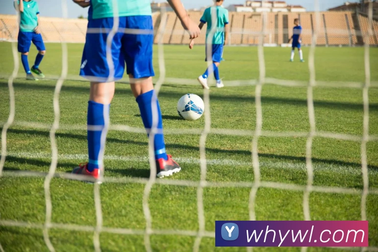 九游电子娱乐网站服务体系